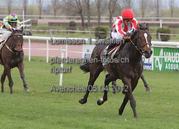 Lumisson 1 Zwahlen  prot